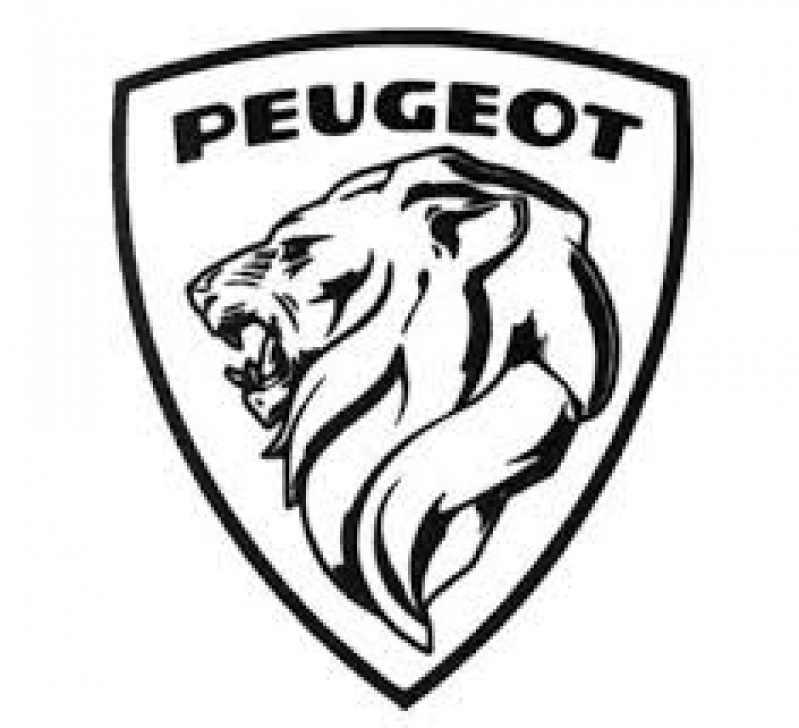 Onde Encontrar Manutenção para Peugeot Lageado - Manutenção de Peugeot 307
